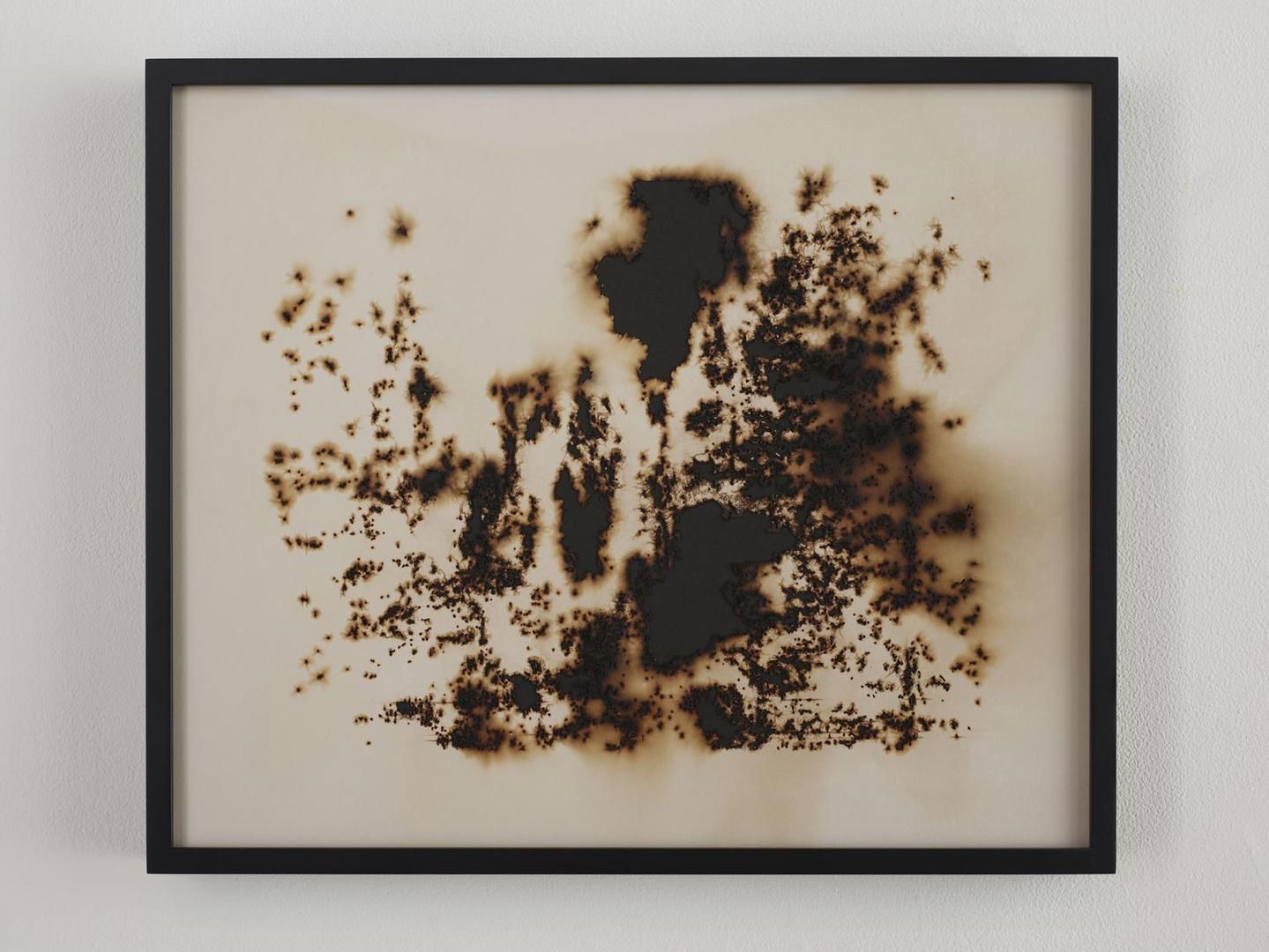 TERESITA FERNÁNDEZ Burned Landscape (America) 1 (detail), 2017