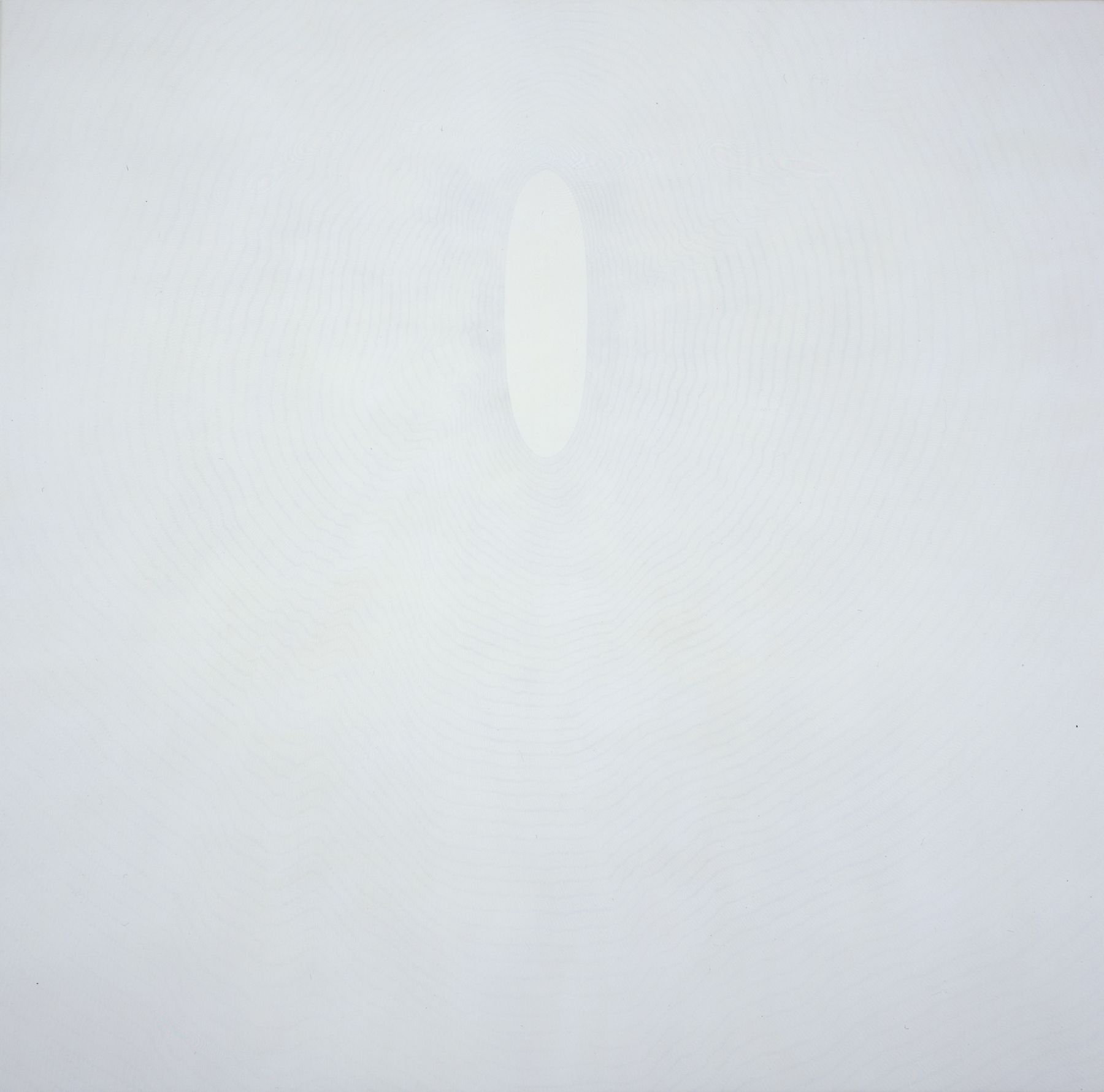 SHIRAZEH HOUSHIARY White shadow, 1998