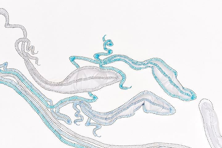 NICHOLAS HLOBO Idabi (detail), 2016
