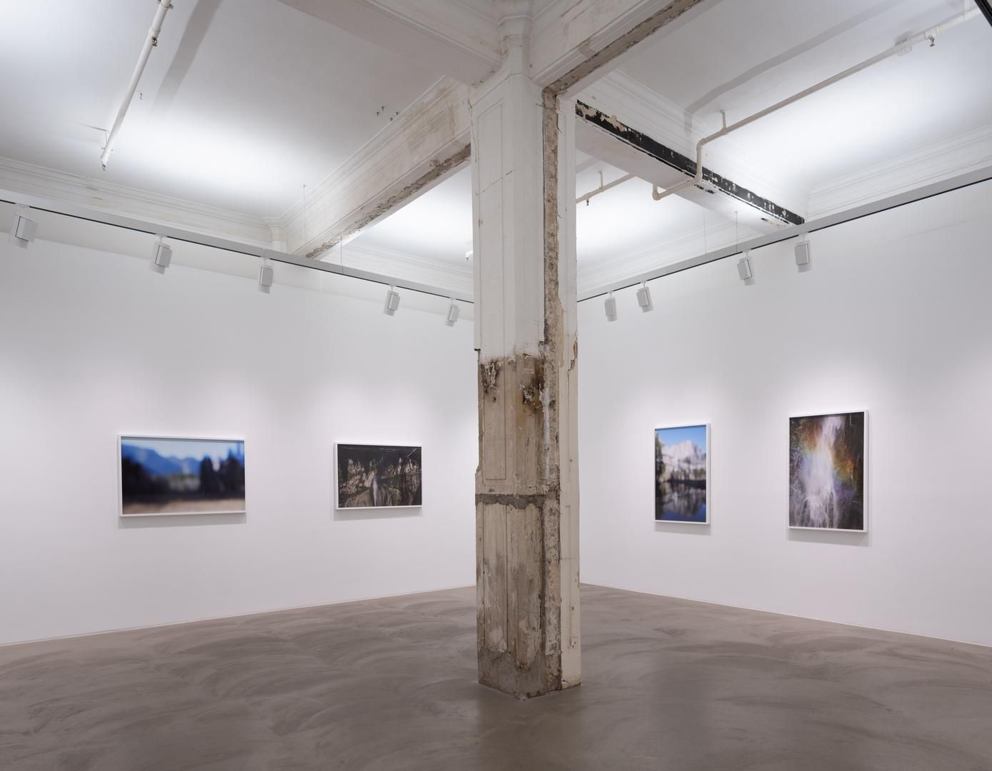 CATHERINE OPIE So long as they are wild
installation view 8
