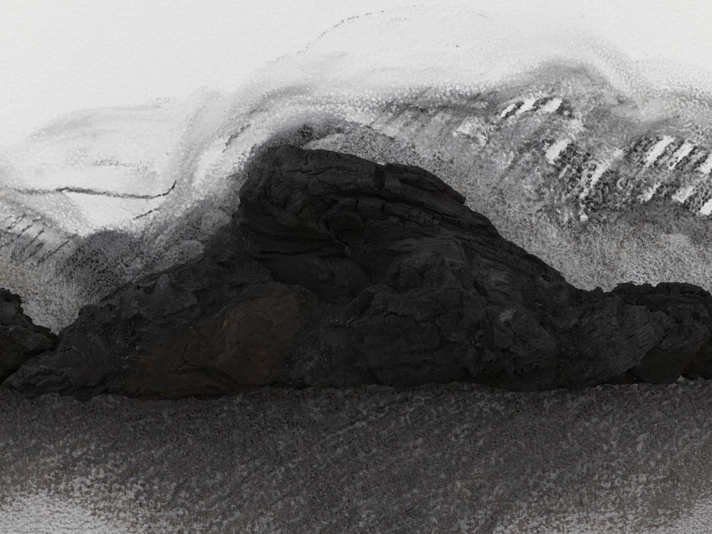 TERESITA FERNÁNDEZ Charred Landscape (America) (detail), 2017