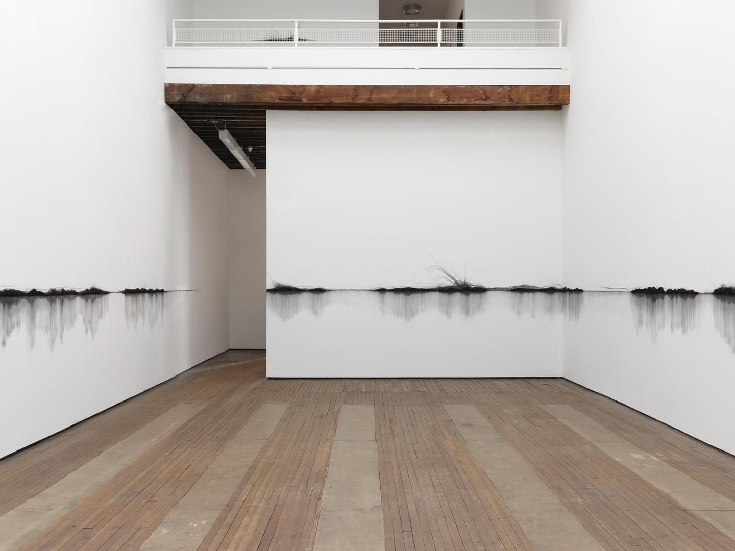 TERESITA FERNÁNDEZ Charred Landscape (America), 2017