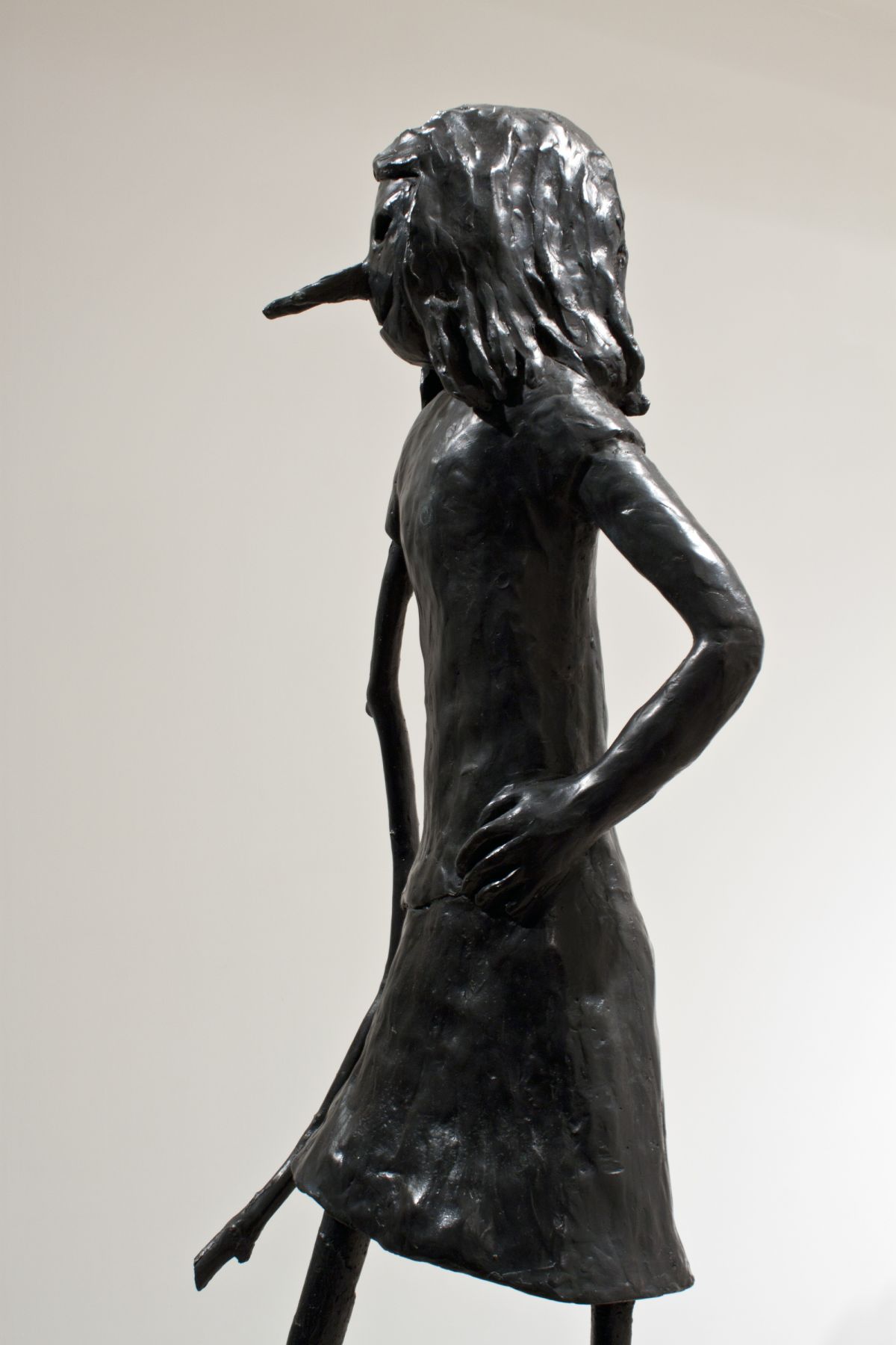 å
ææ·å
èæ¯å¡æ´å¨ Skinny Girl, 2011