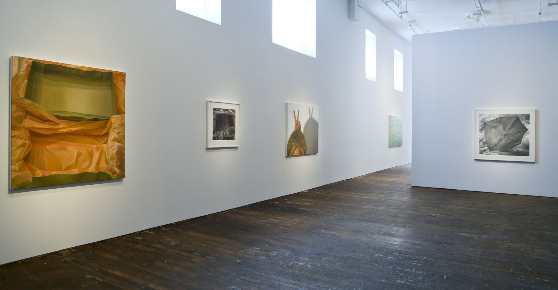 Catherine Murphy: Recent Work – installation view 7
