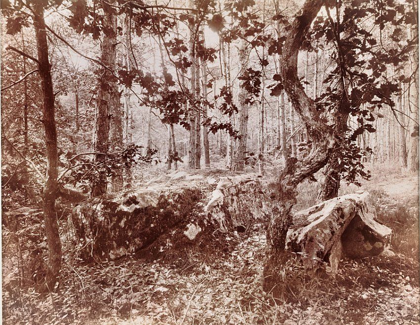 EugÑne Atget, Fontainebleau