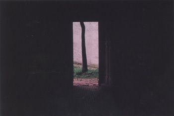 Boris Savelev, Black Tree Chernowitz