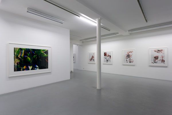 James Welling – installation view 5