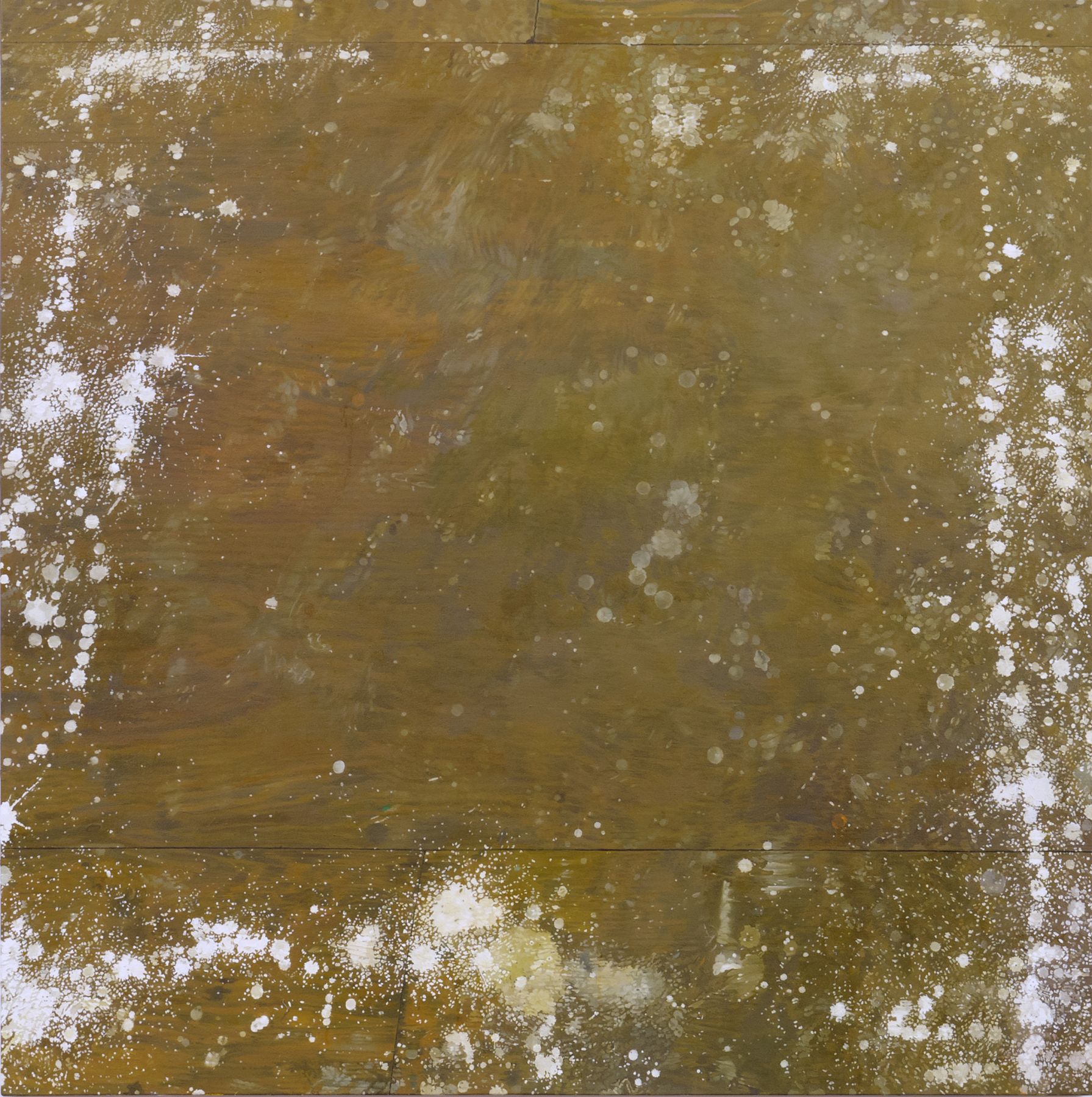 Catherine Murphy Studio Floor