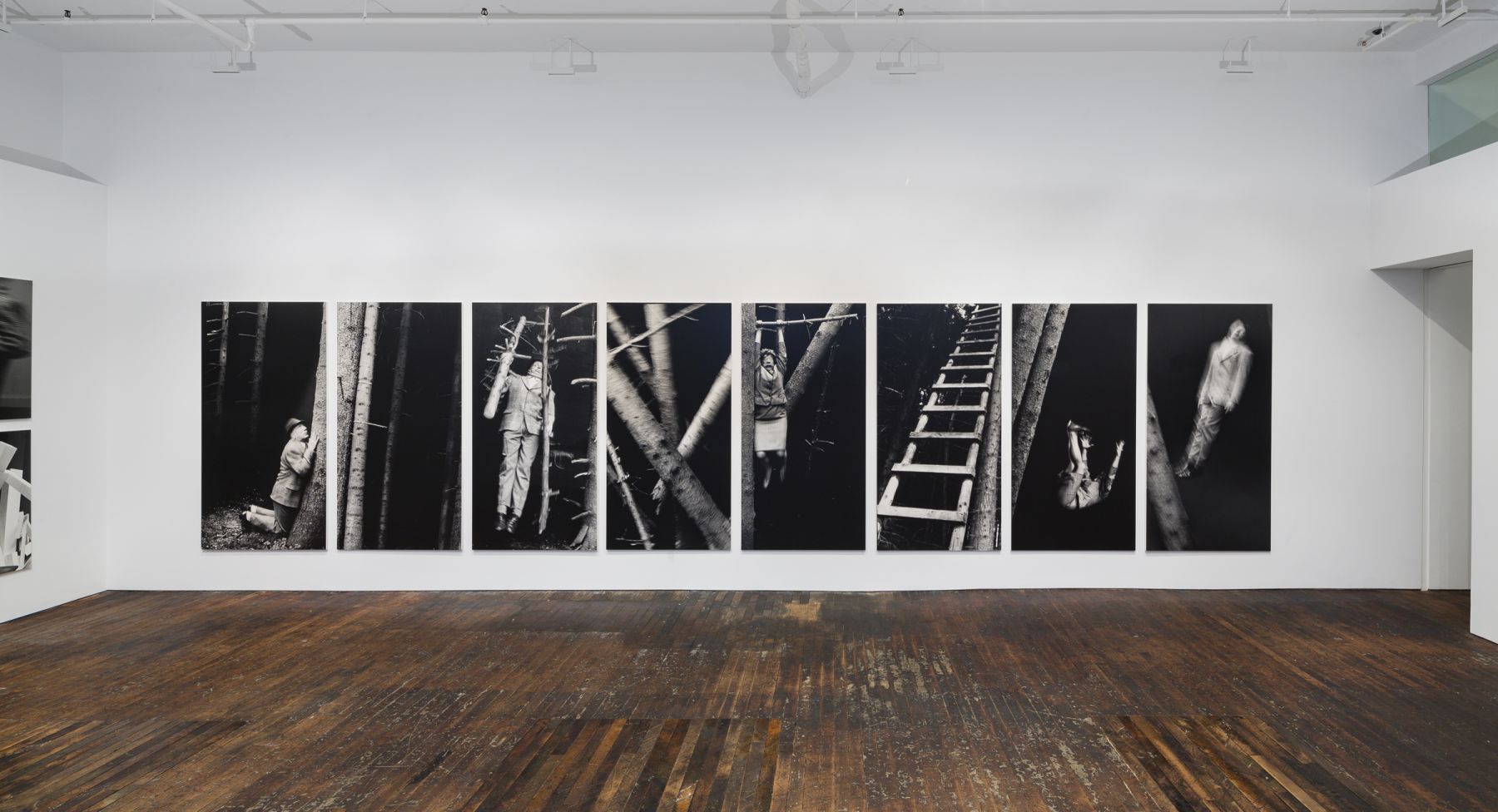 Scenes from a Photo-Novel, Peter Freeman, Inc., New York 