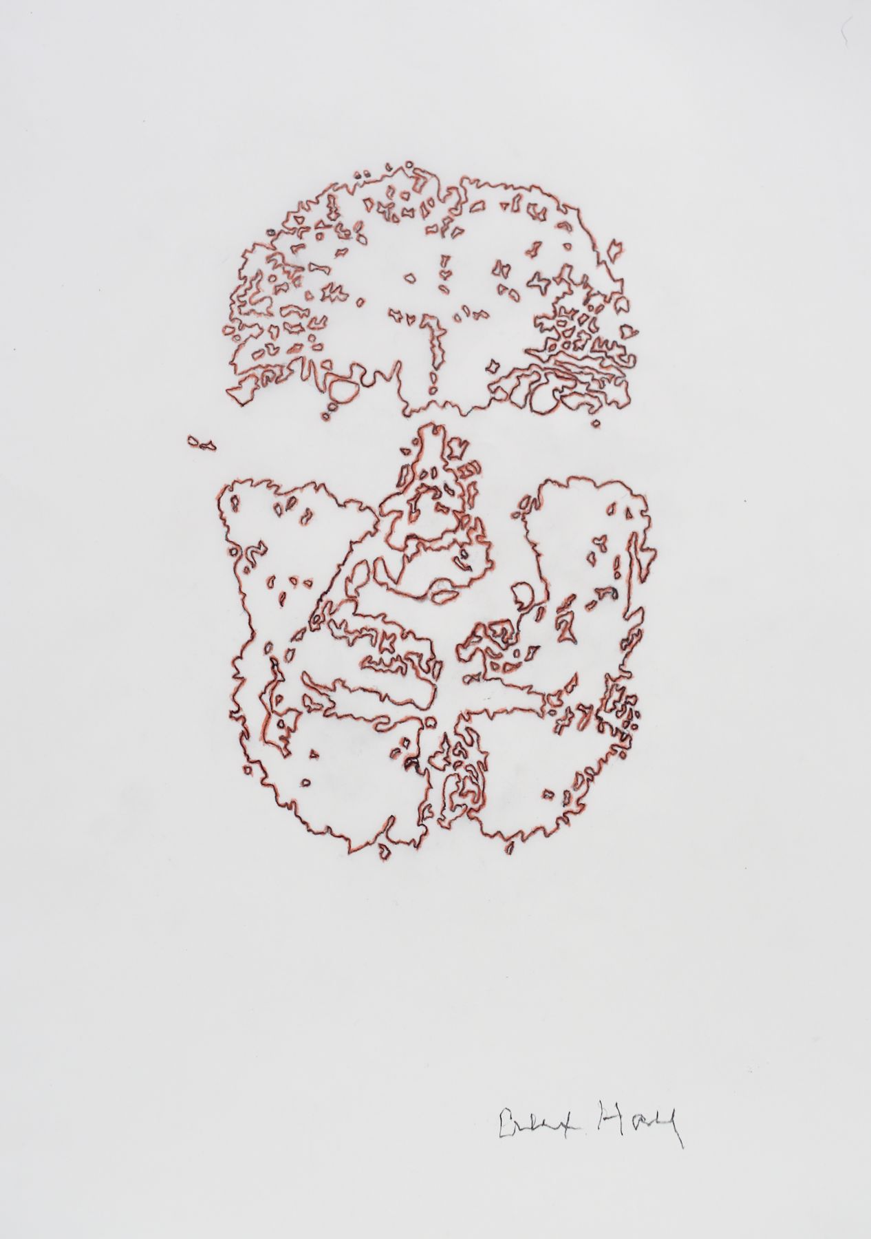 Alex Hay Face Print