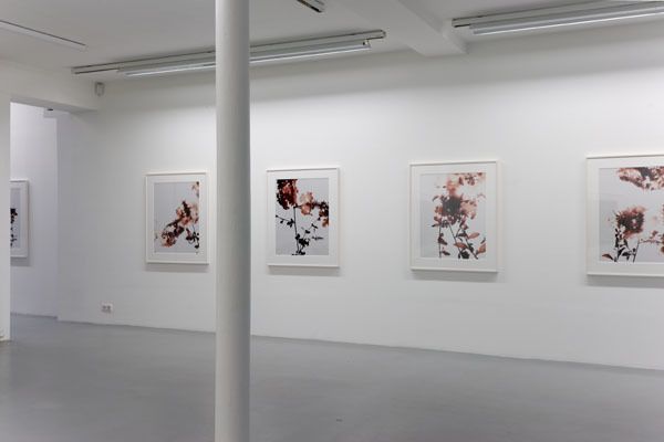 James Welling – installation view 4