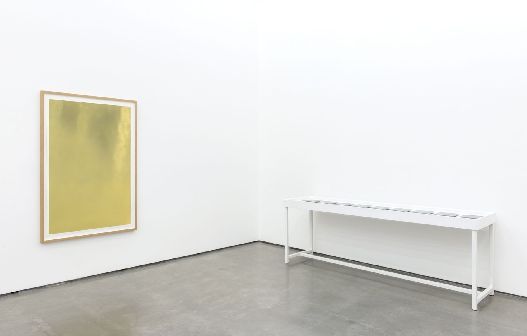 Dove Allouche | Negative Capability, The Contemporary Art Gallery, Vancouver, Canada 