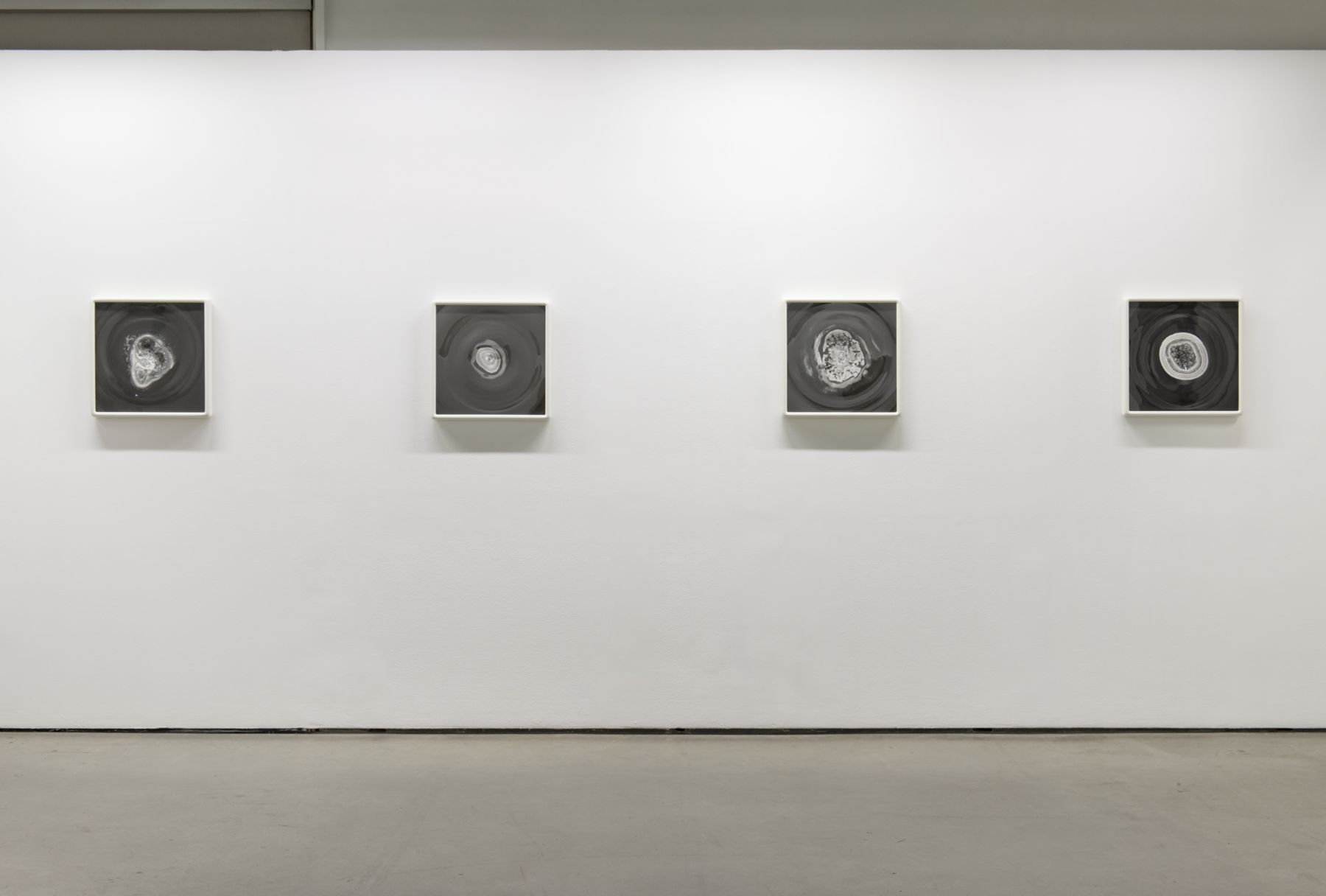 Dove Allouche | Negative Capability, The Contemporary Art Gallery, Vancouver, Canada 