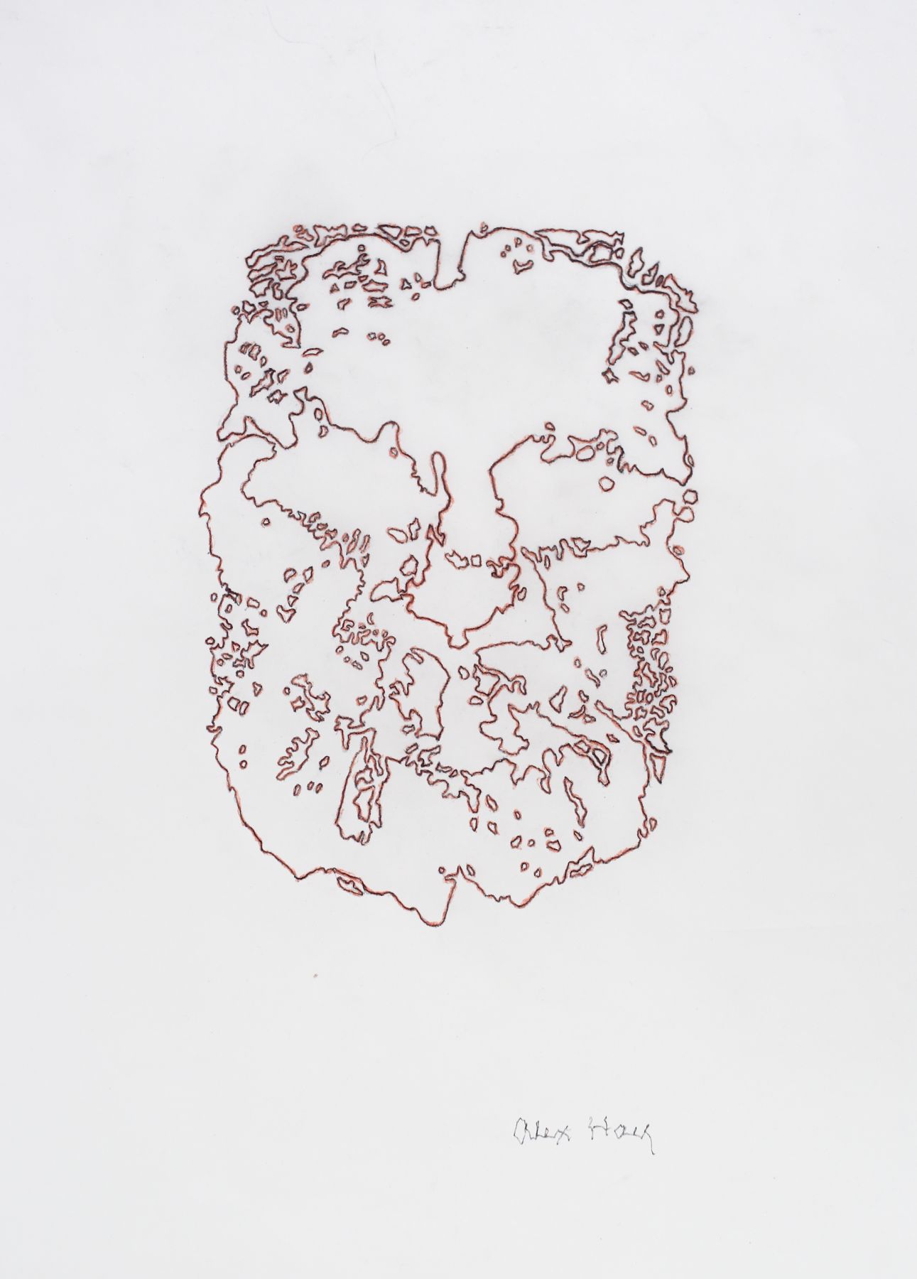 Alex Hay Face Print