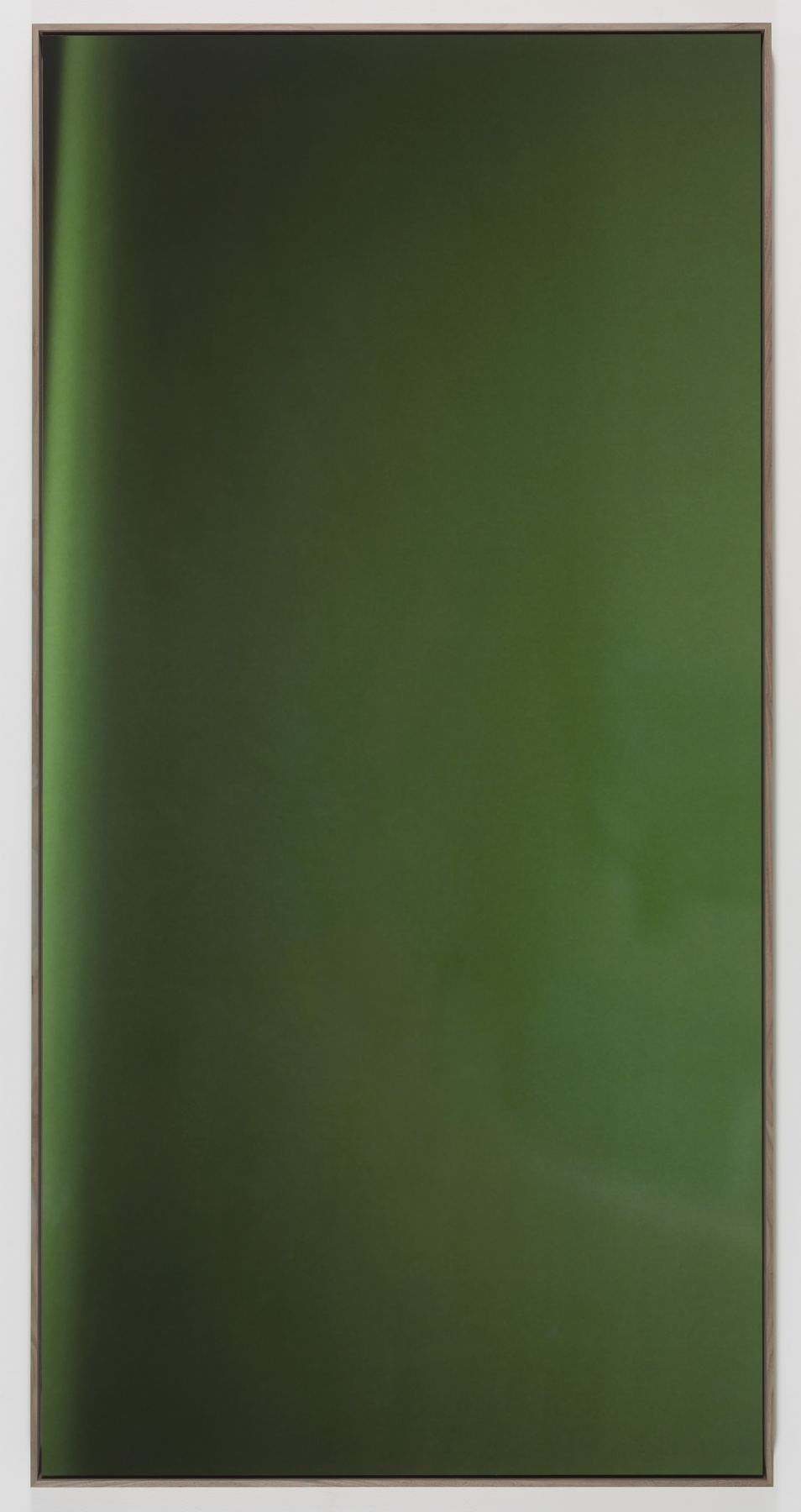 Jan Dibbets New Colorstudies - Moss Green Vertical