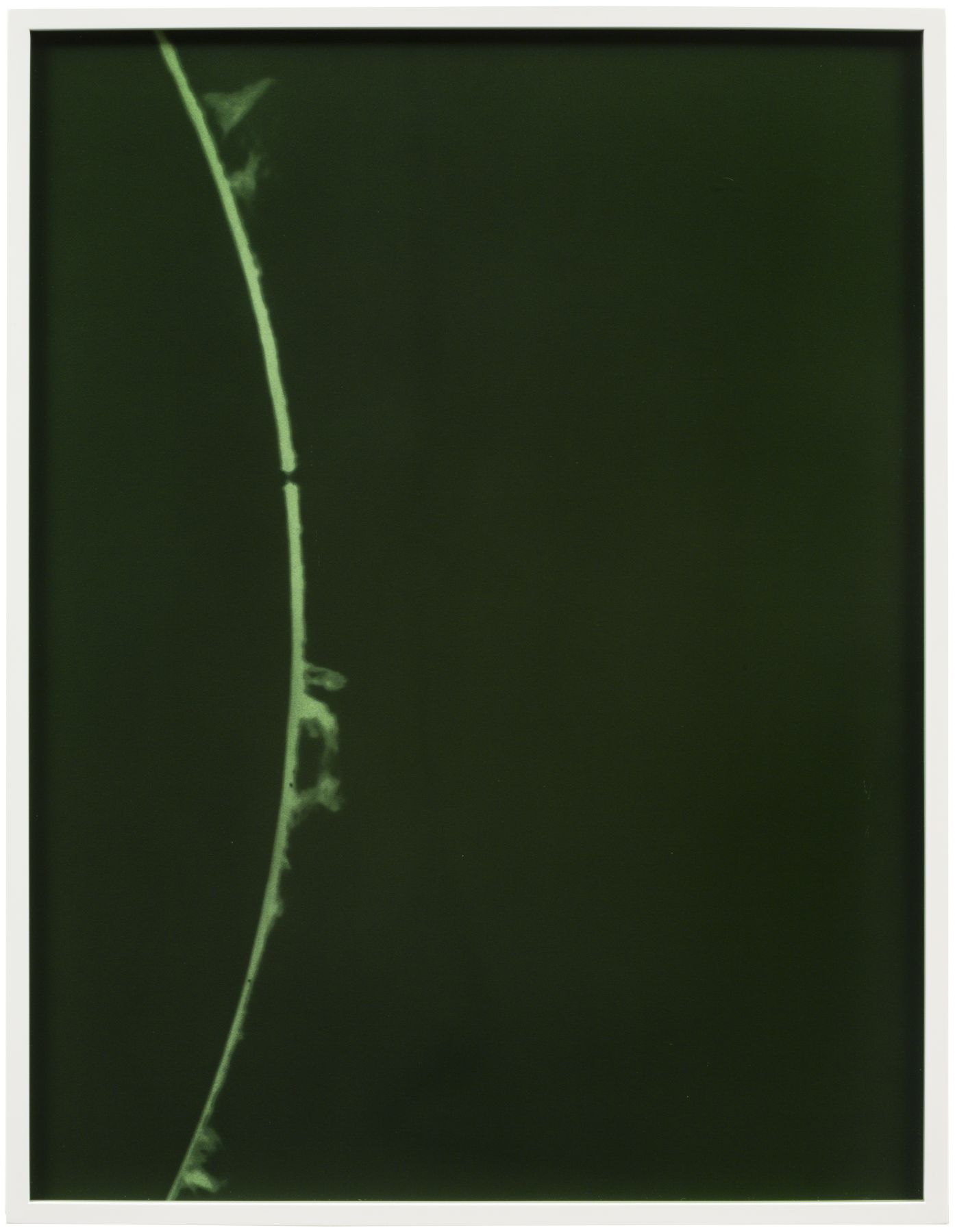 Emission line_5 2018