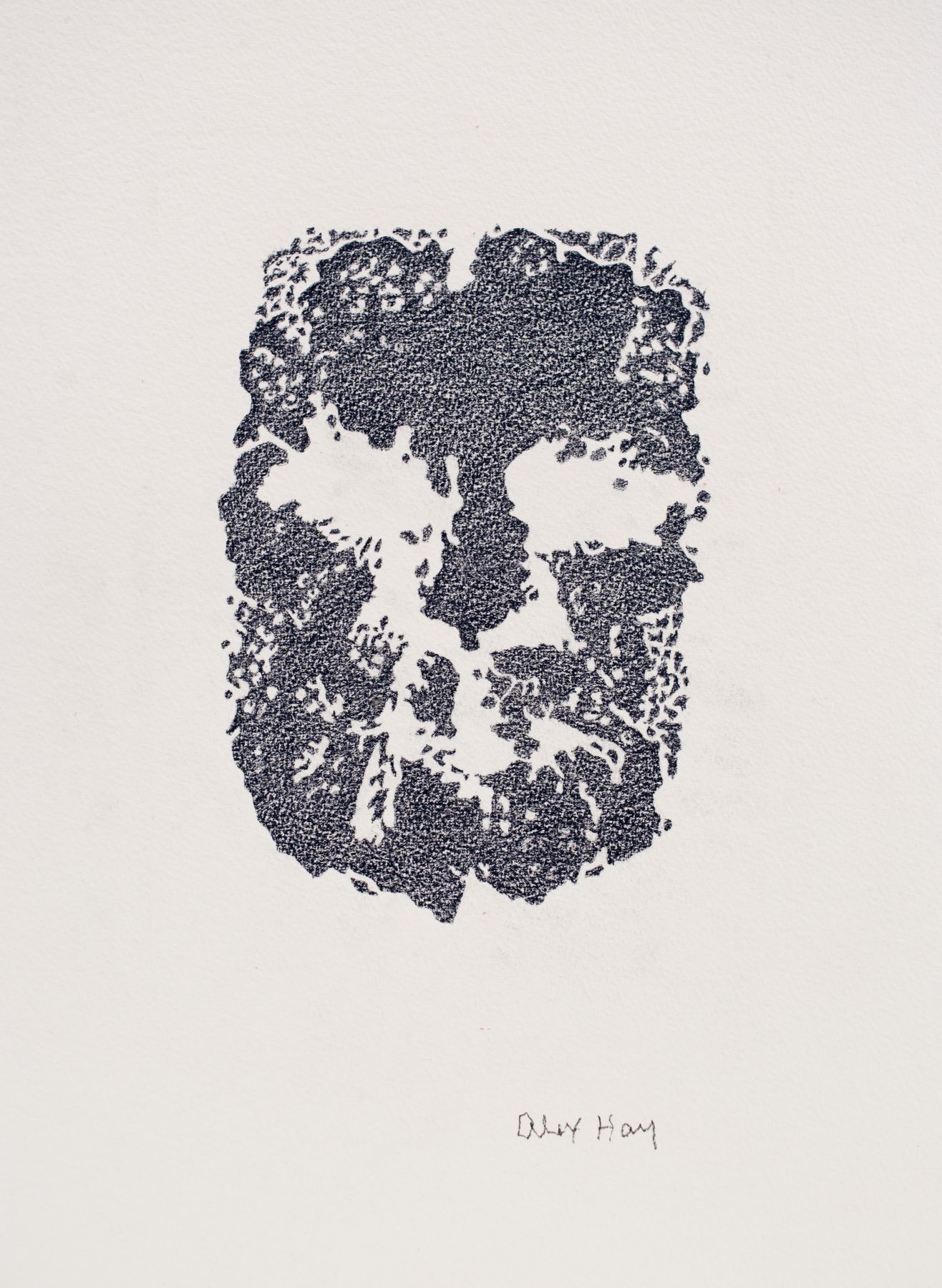 Alex Hay Face Print