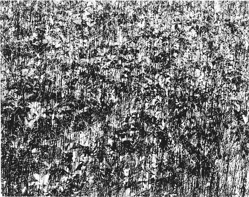 Harry Callahan, Port Huron, Michigan