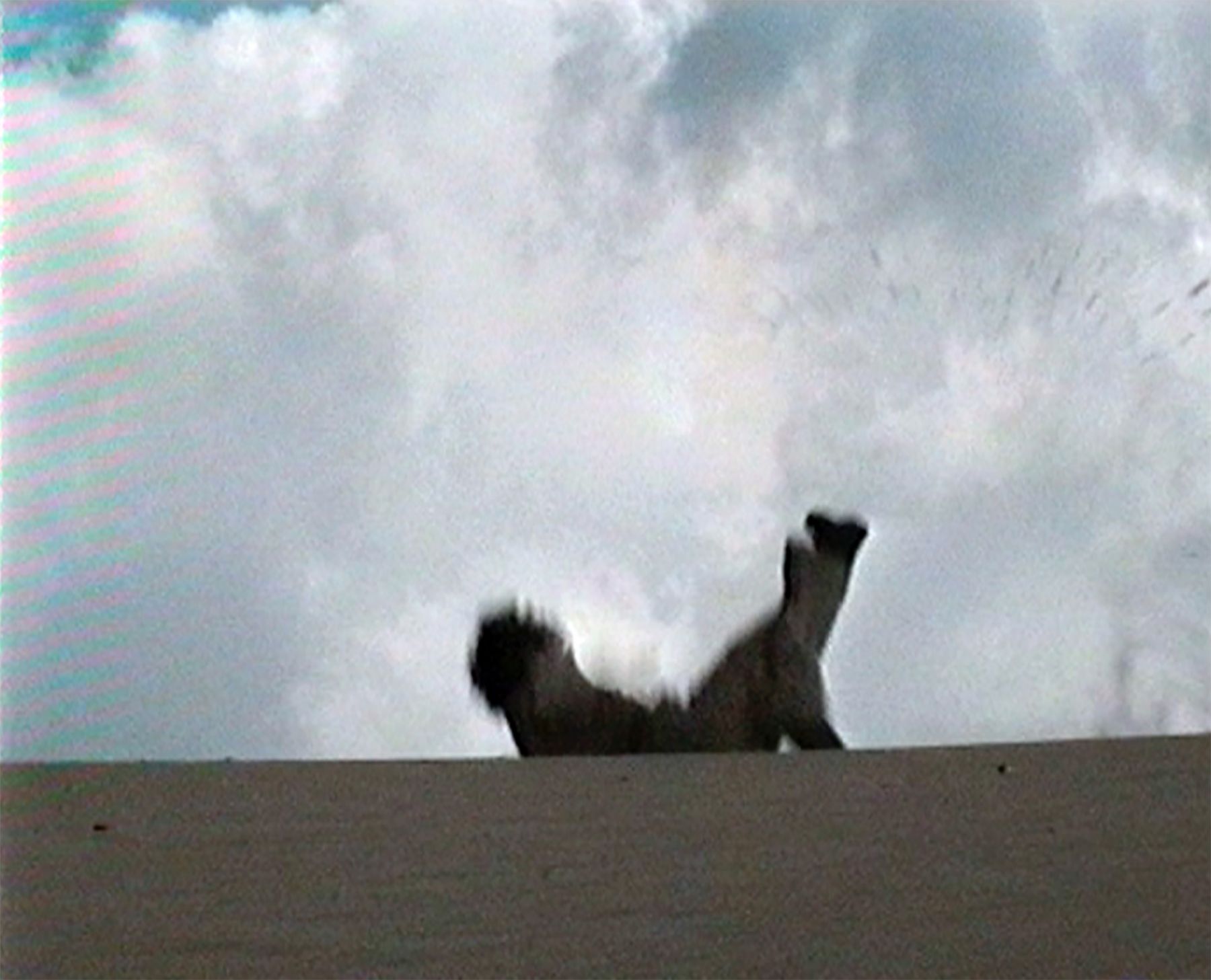 âSlapstick (still) 1998 endless video