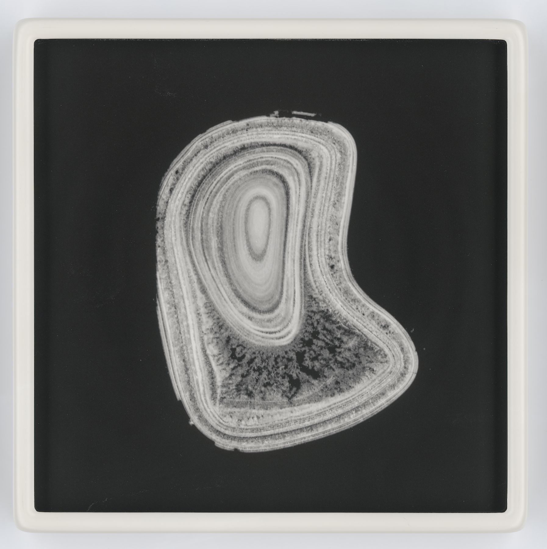 Perle_29, 2018 unique photolithograph and hand-blown crown glass