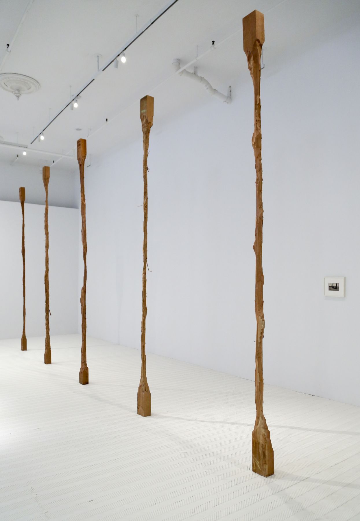 David Adamo / James Castle – installation view 6