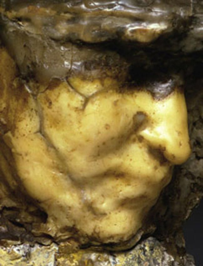 Medardo Rosso Carne altrui (detail 1)