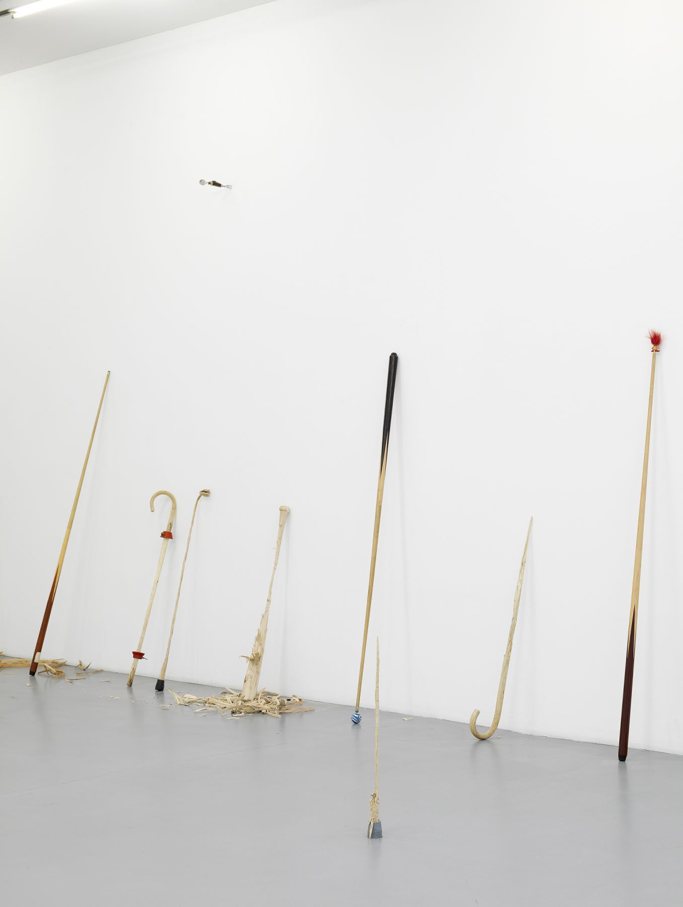 Ania Soliman - David Adamo, Galerie Nelson-Freeman, Paris. 