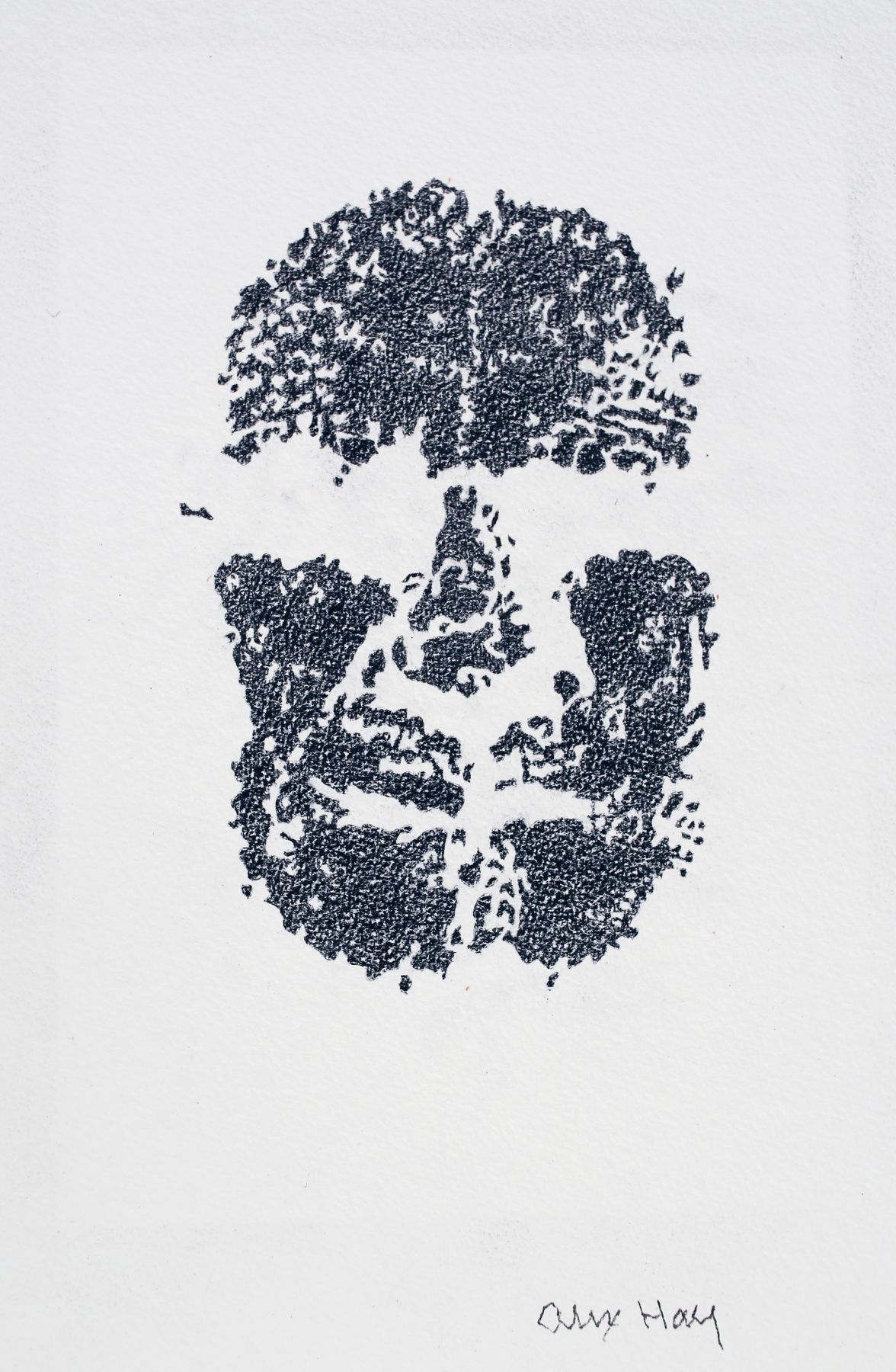 Alex Hay Face Print
