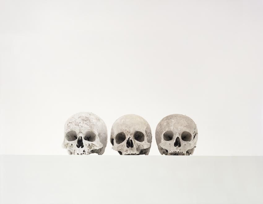 Sans titre 2010