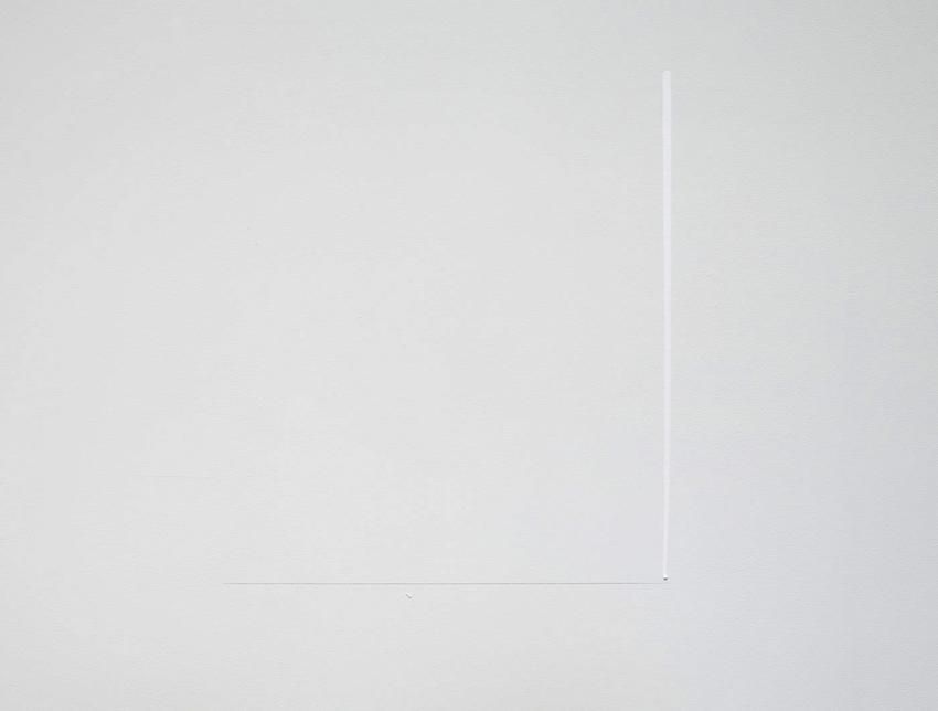 Fernanda Gomes Untitled