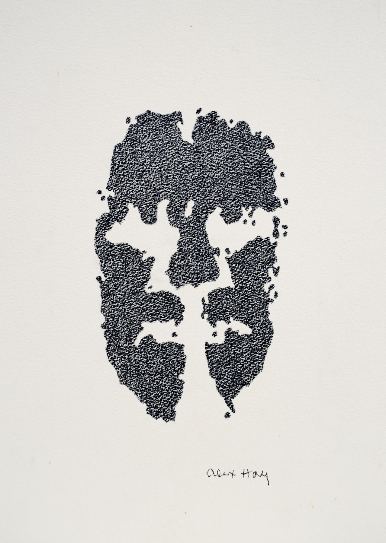 Alex Hay Face Print