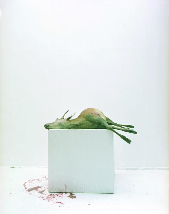 Eric Poitevin , Sans titre