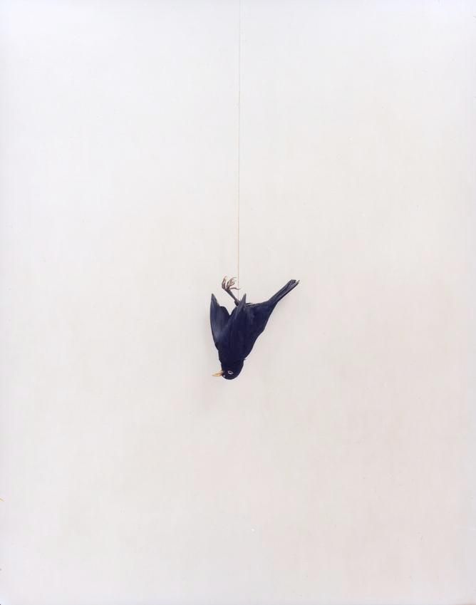 Sans titre 2013