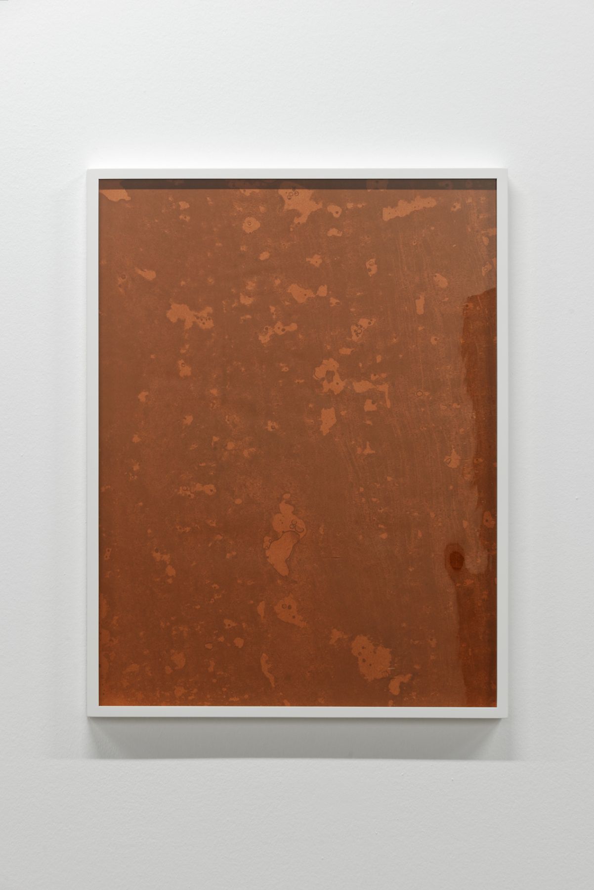 Mea culpa d'un sceptique, Curated by Kate Macfarlane