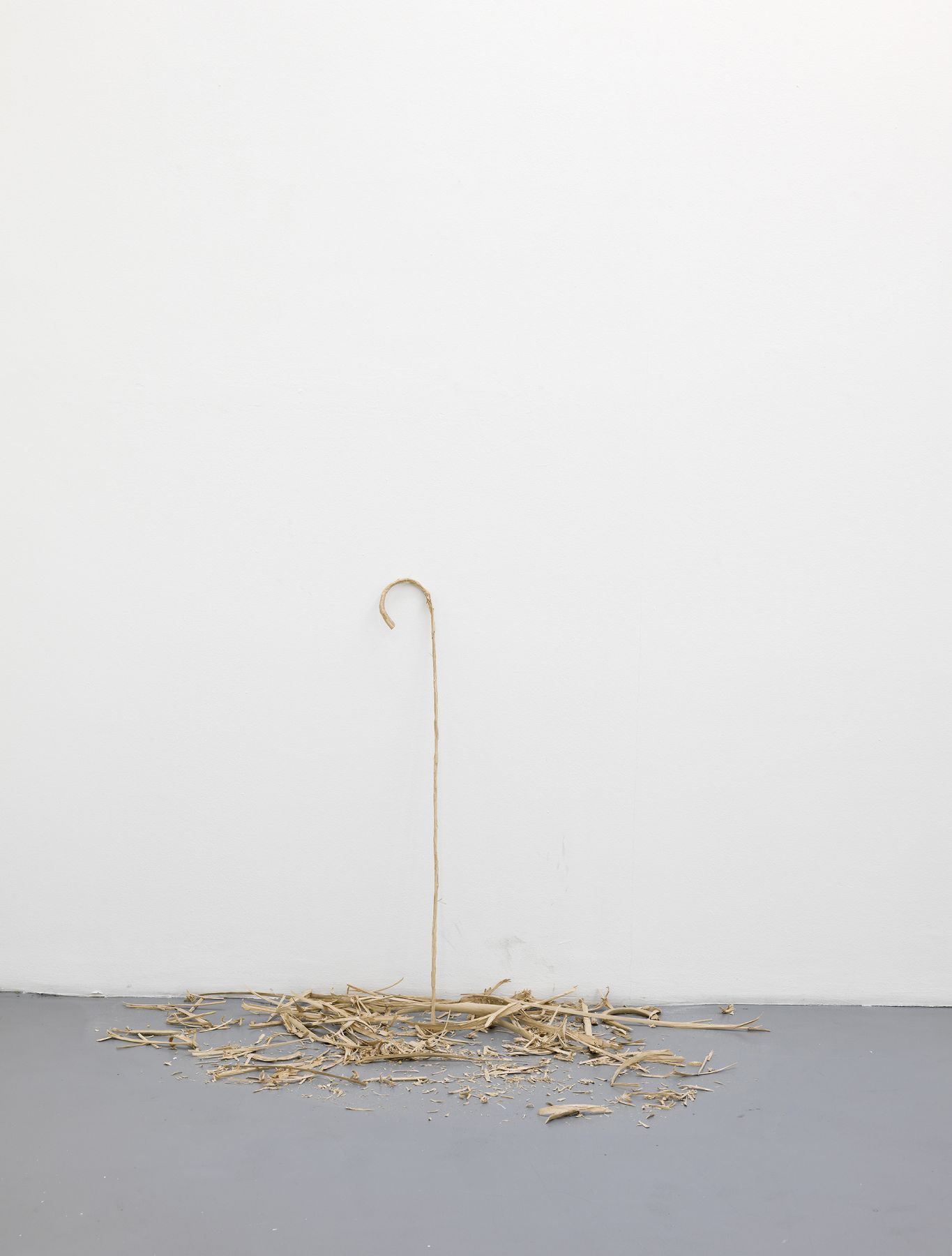 Ania Soliman - David Adamo, Galerie Nelson-Freeman, Paris. 