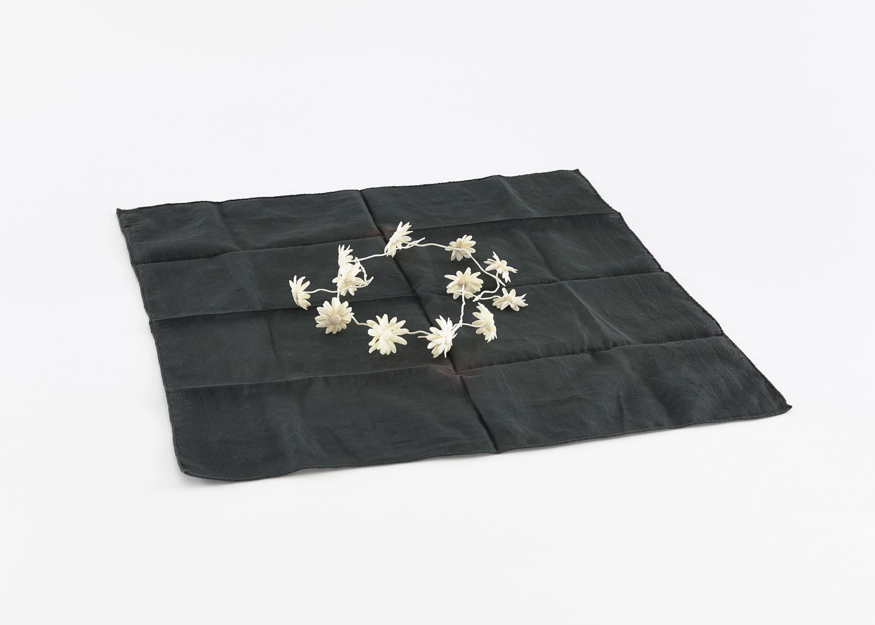 Daisy Chain 2013-2014
