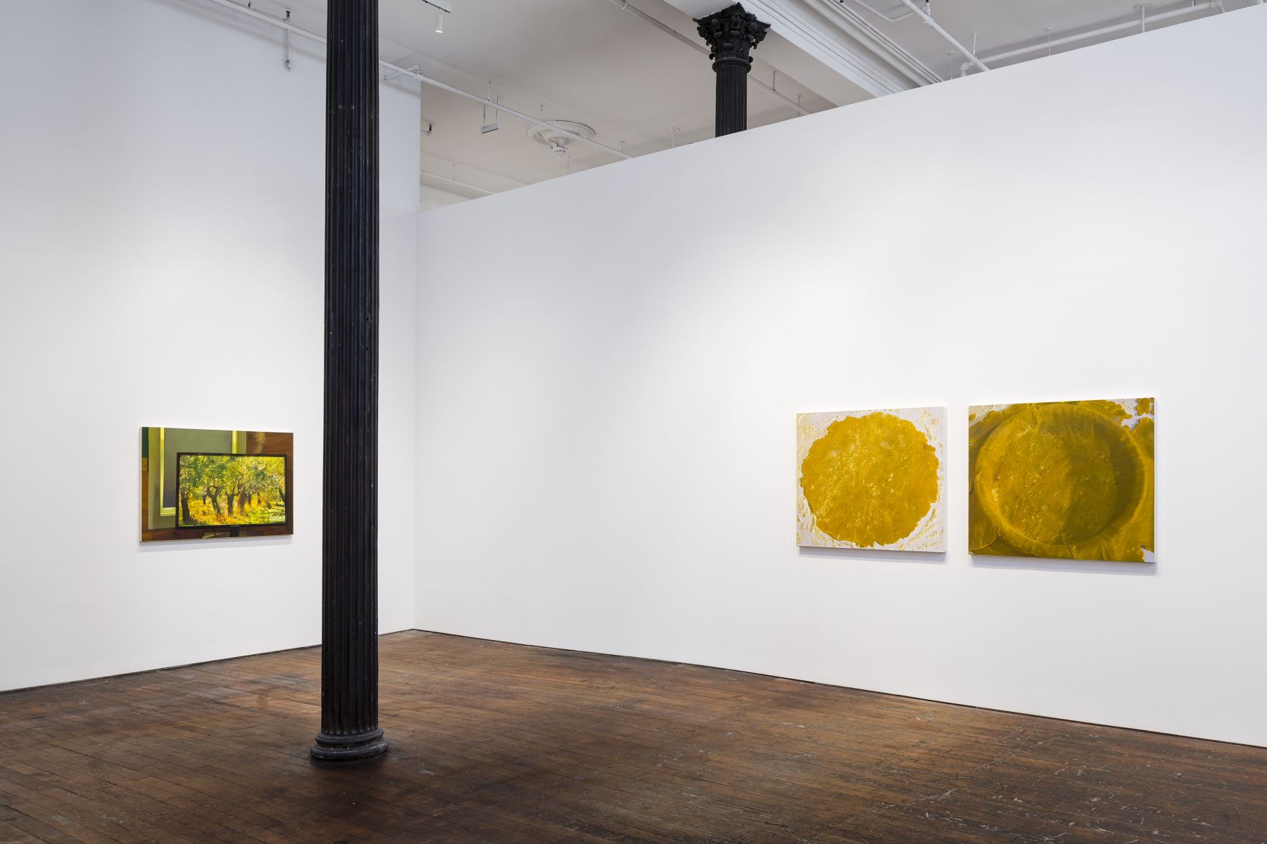Catherine Murphy: Recent Work – installation view 2