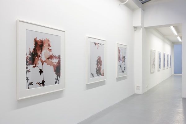 James Welling – installation view 8
