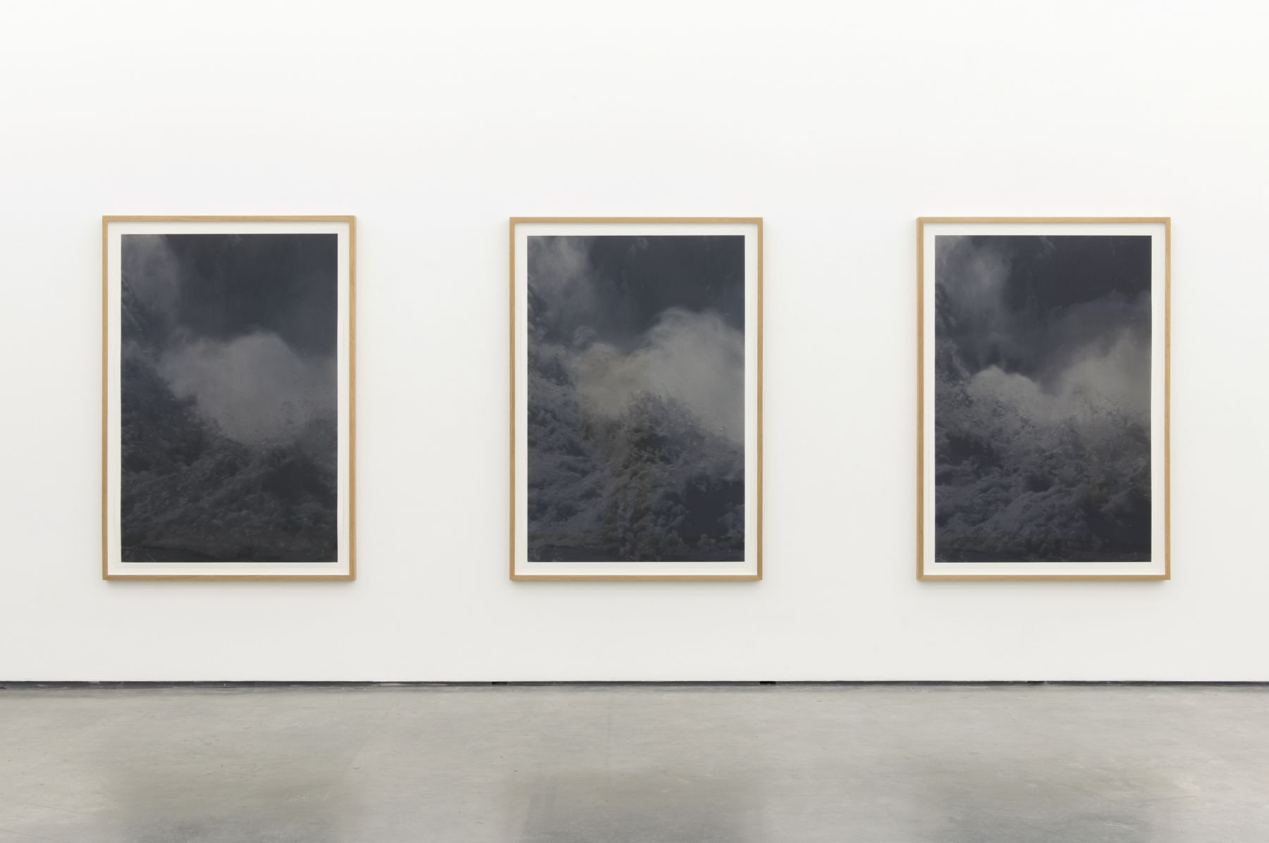Negative Capability , The Contemporary Art Gallery, Vancouver