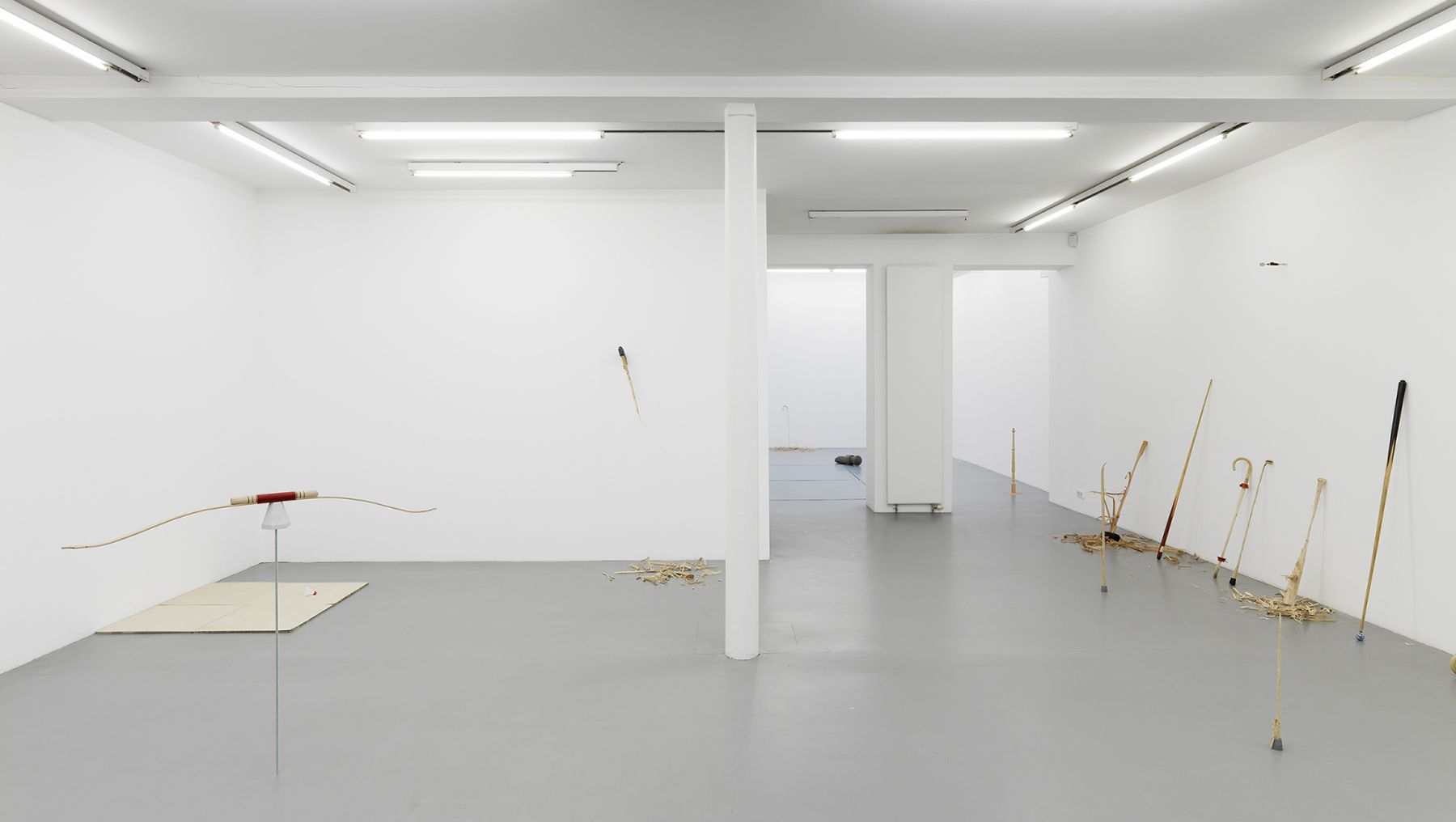 Ania Soliman - David Adamo, Galerie Nelson-Freeman, Paris. 