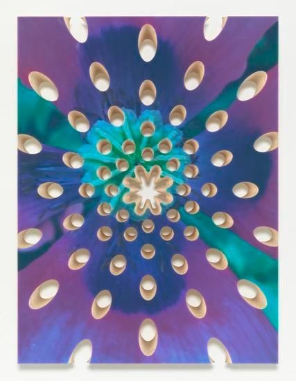 Lot 082816 (poppy), 2016, Pigmented epoxy resin, archival inkjet print on wood panel support with steel hardware