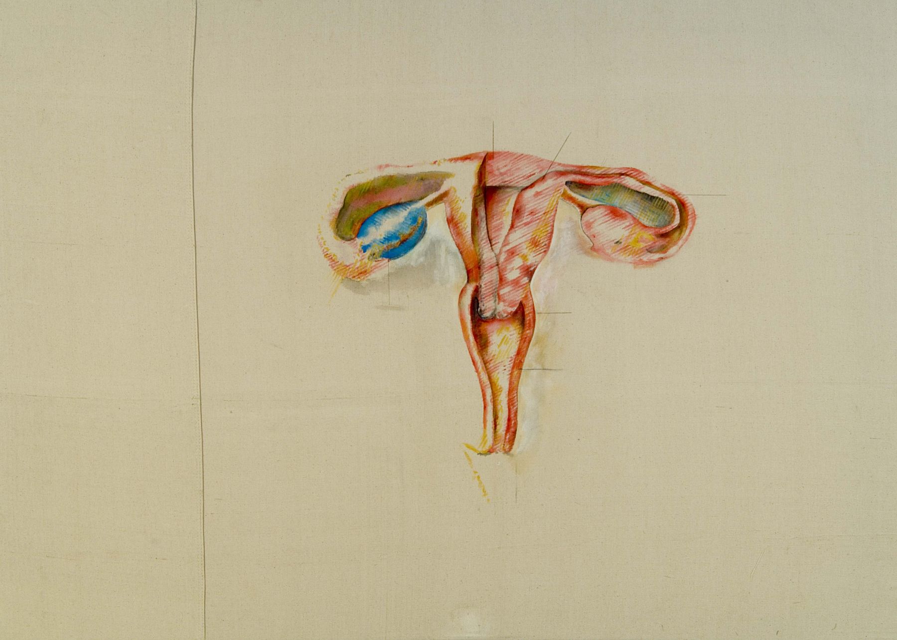 image of the vaginal canal and uterus by kianja strobert