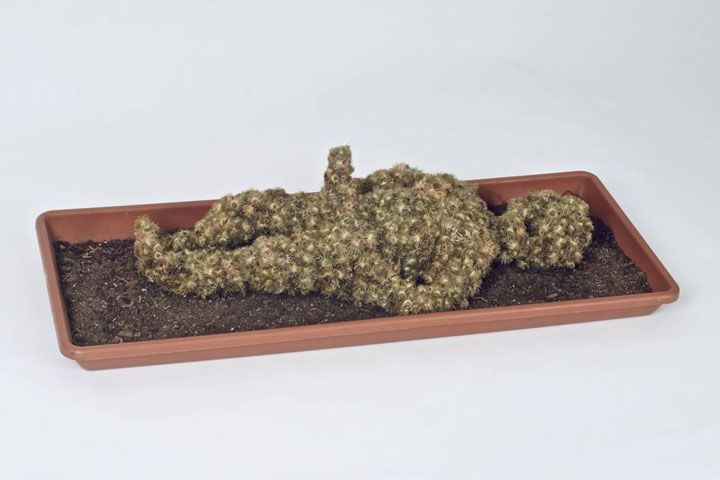 Lois Weinberger, Green Man, 2010