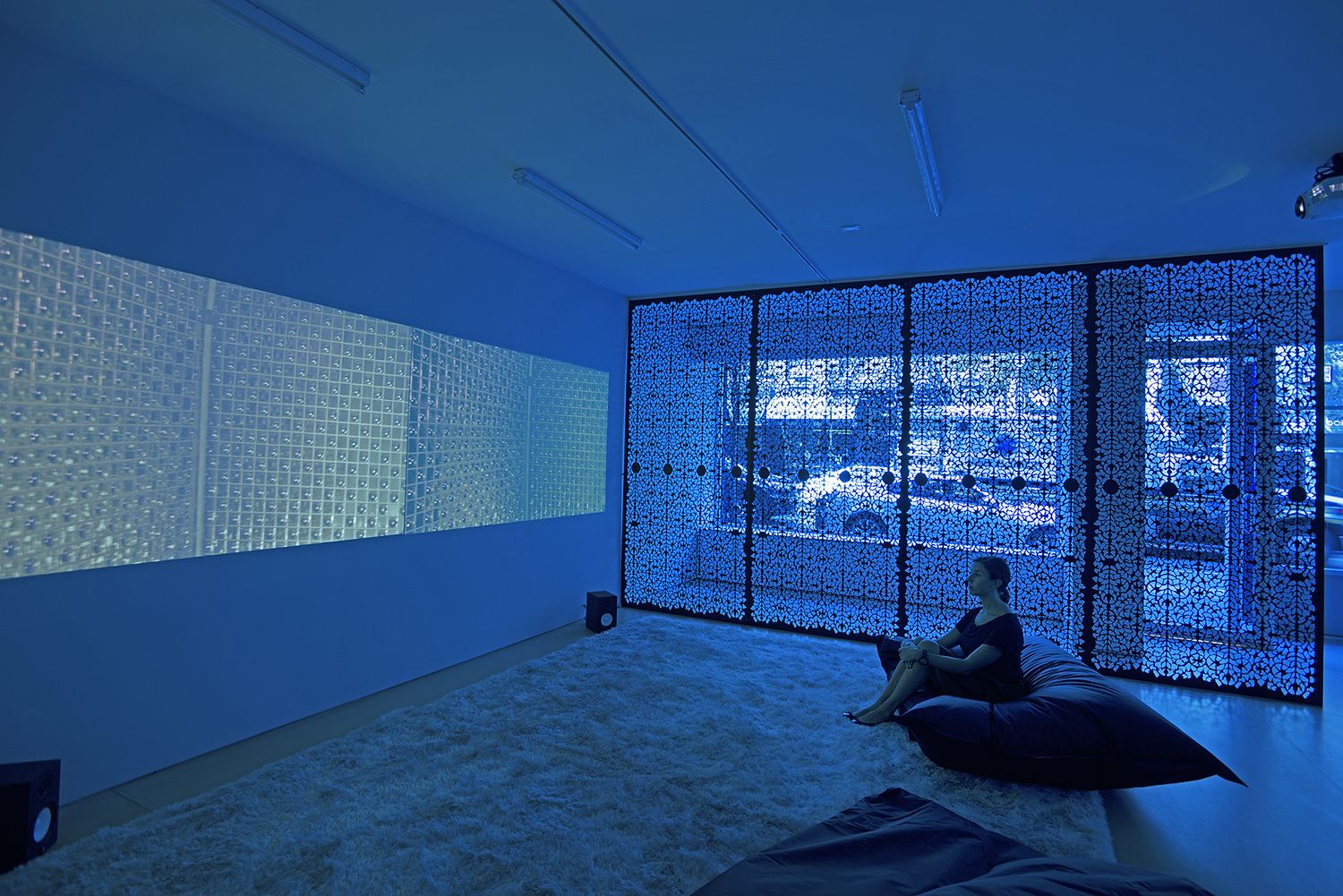The Blue Lenses (Installation View), 20 Clinton Street 2015