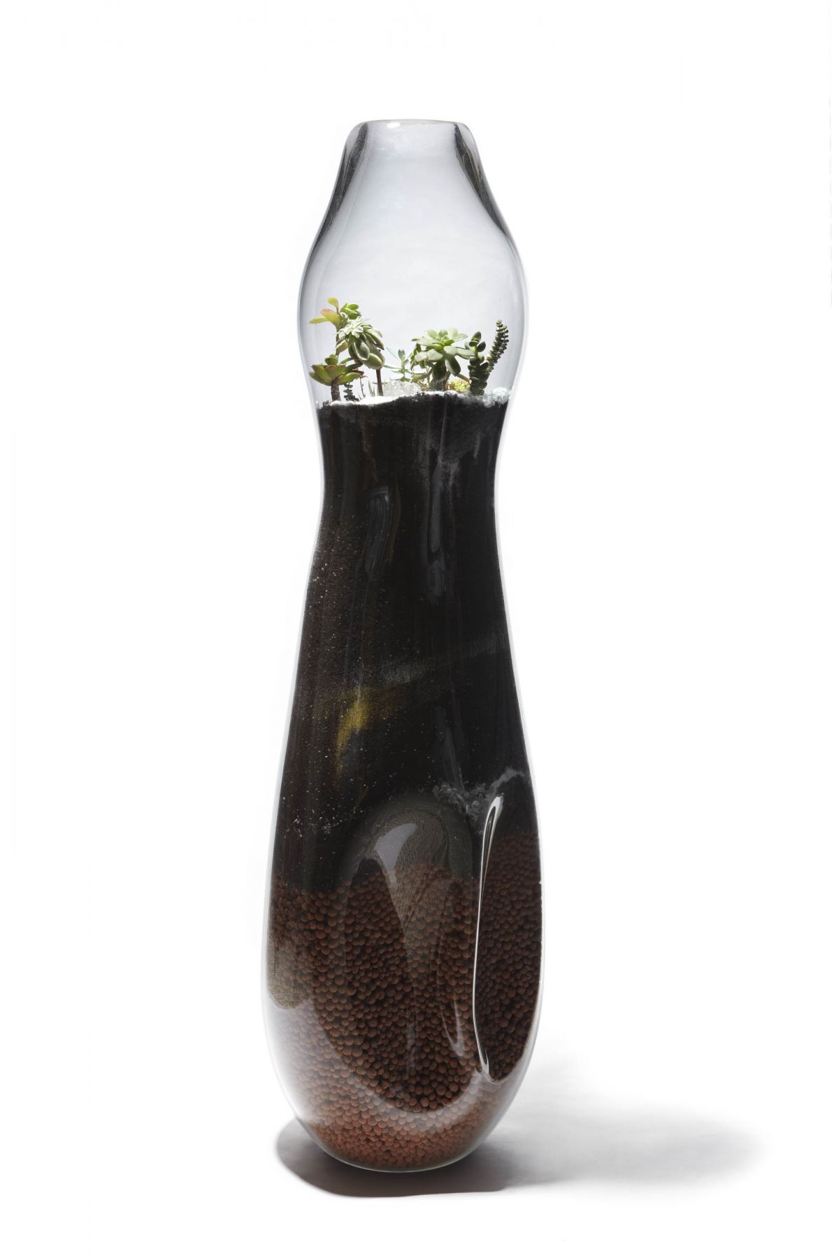 vase with plants by paula hayes