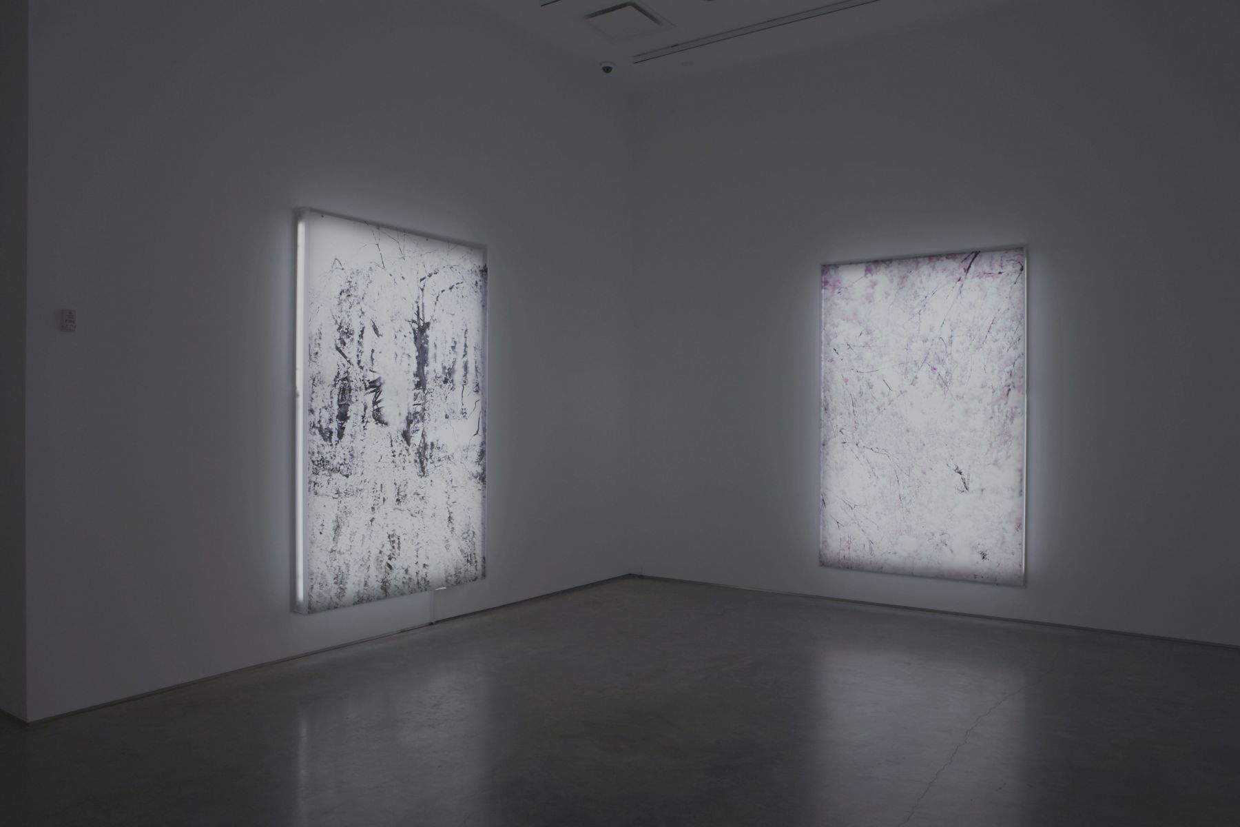 Installation View, Marianne Boesky Gallery, 2007