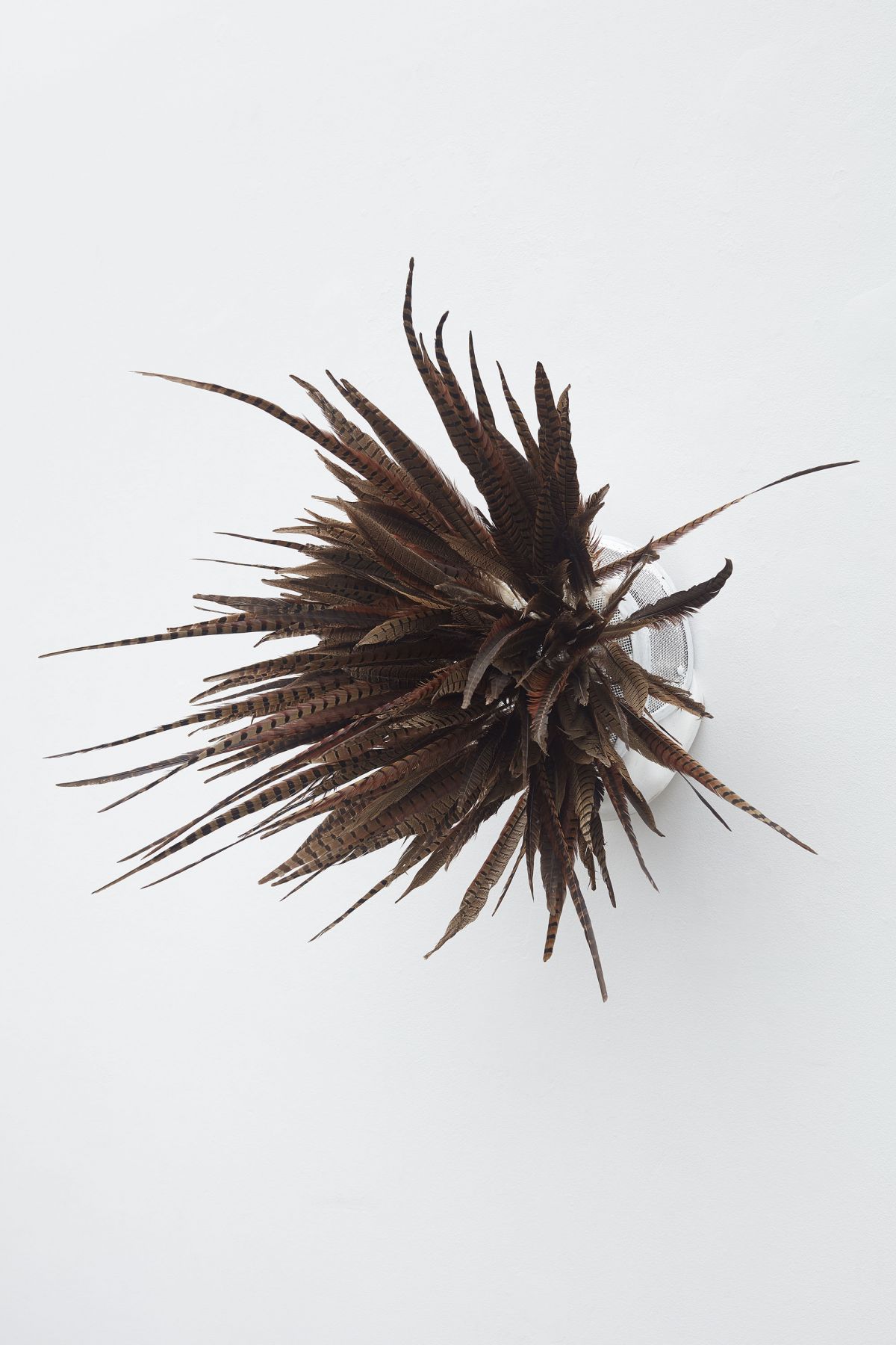 Fencing mask with feathers inserted viewed from a side angle by Allison Janae Hamilton