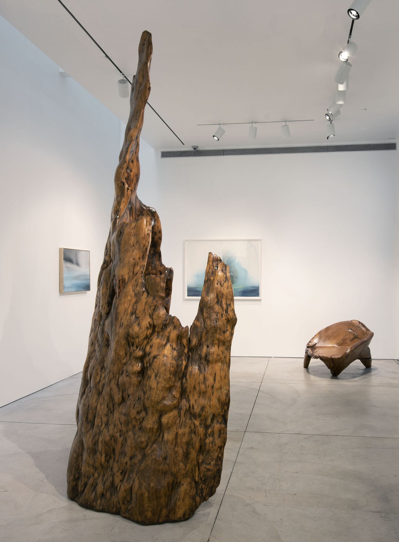 Tropical Molecule (Installation View), Boesky West, 2019