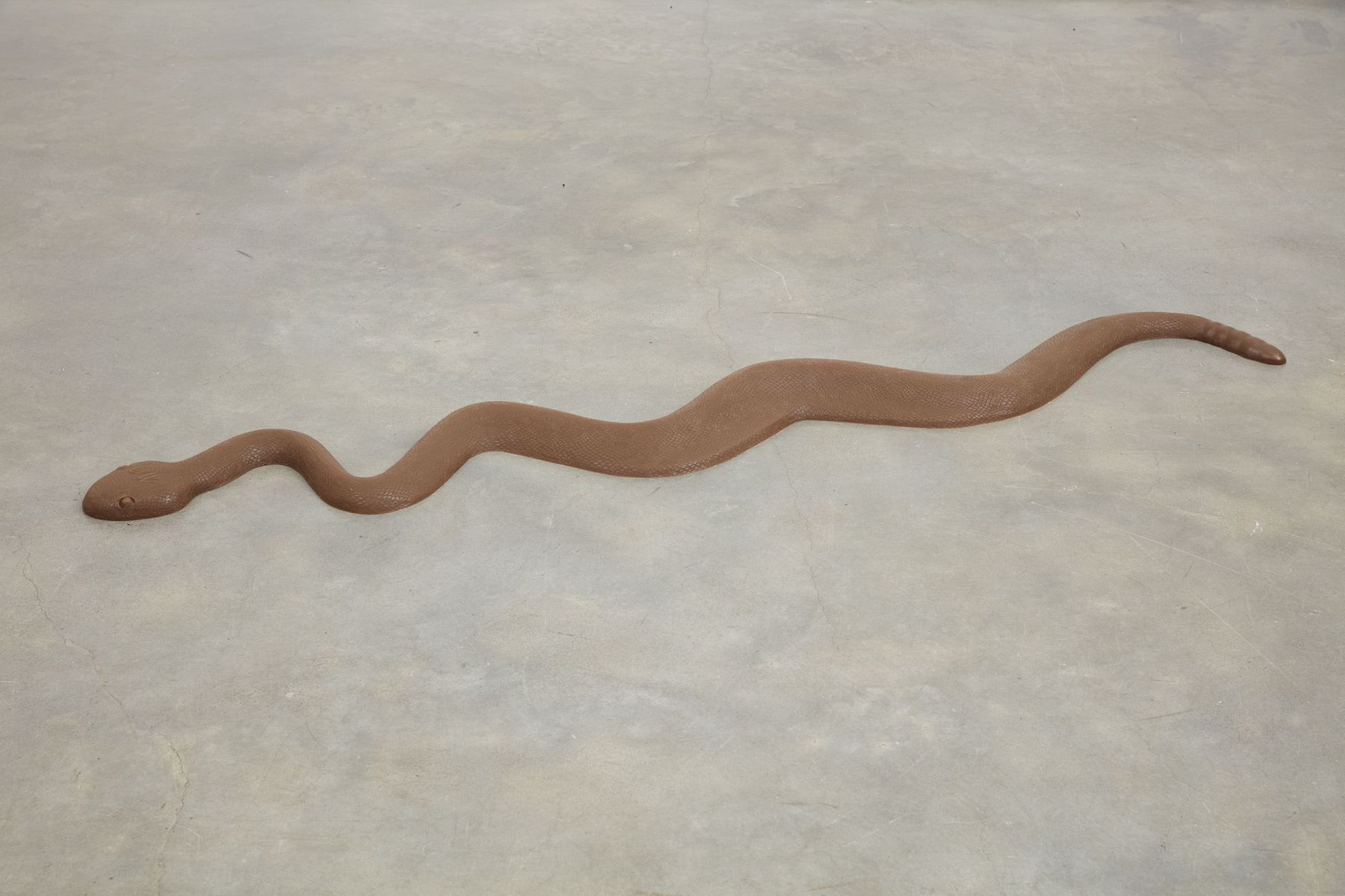snake by john waters