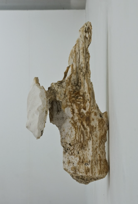 a nature inspired work of art made of plaster by Bjorn Braun
